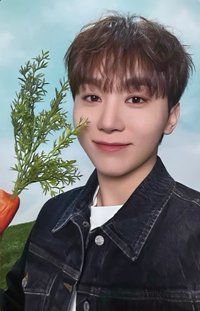 生日禮盒ver.4 周邊卡 