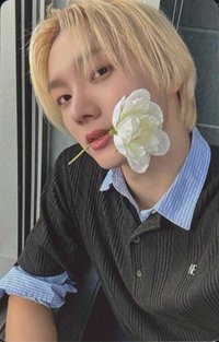 The Action wvs 特典卡 