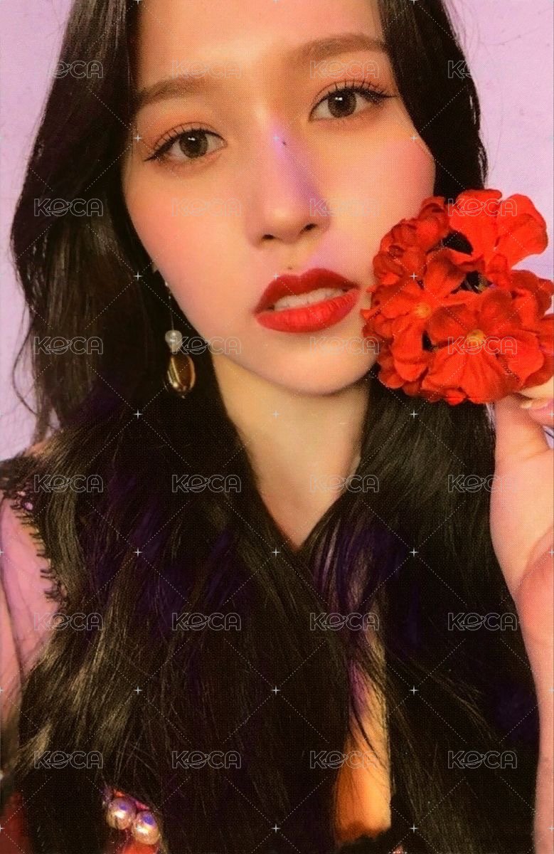 Taste of Love 專輯卡  正面