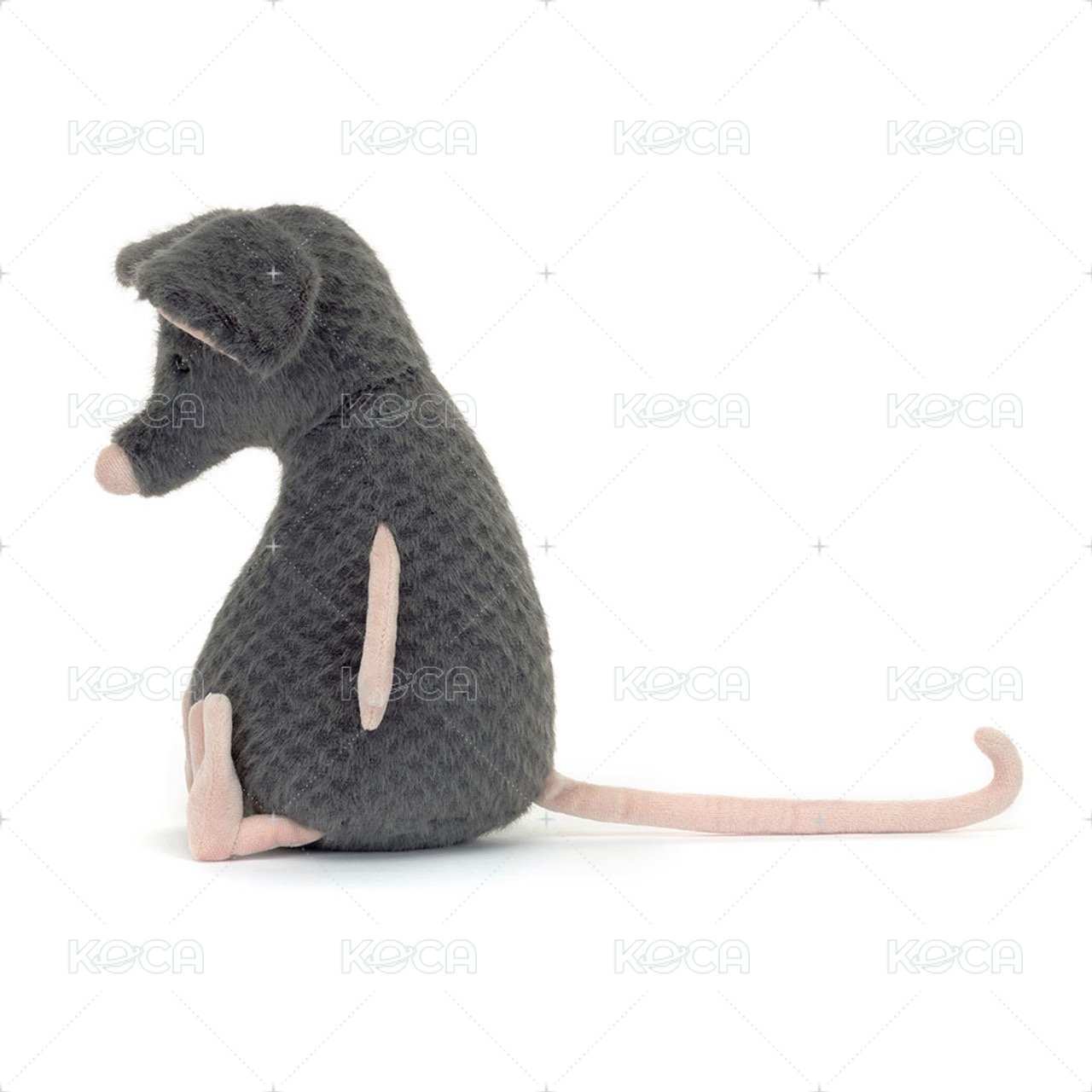Lachlan Sad Rat 老鼠