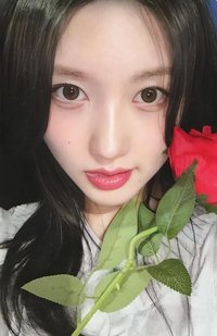 IVE EMPATHY am 4.0 簽售卡 玫瑰花