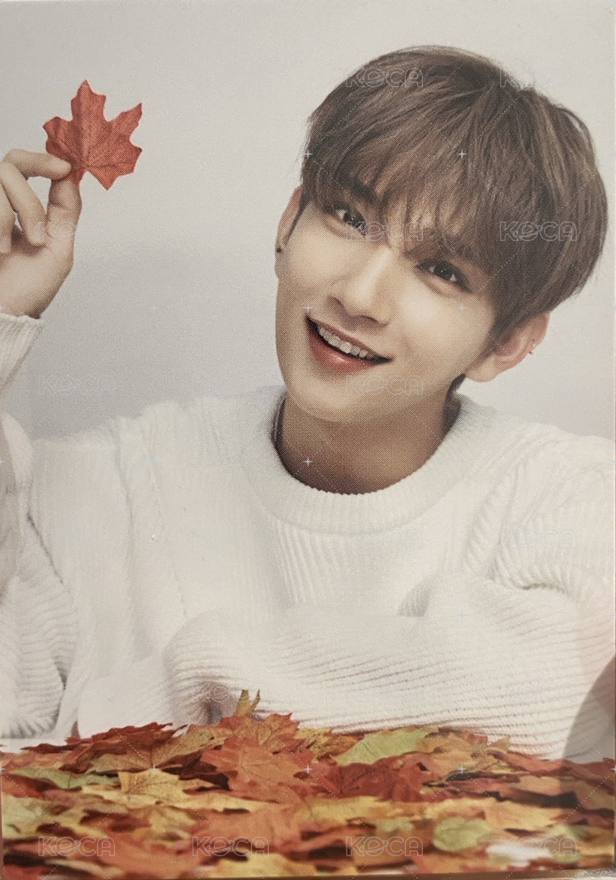 OTY演唱會 隨機卡  正面