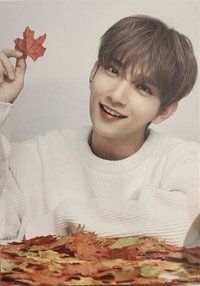 OTY演唱會 隨機卡 