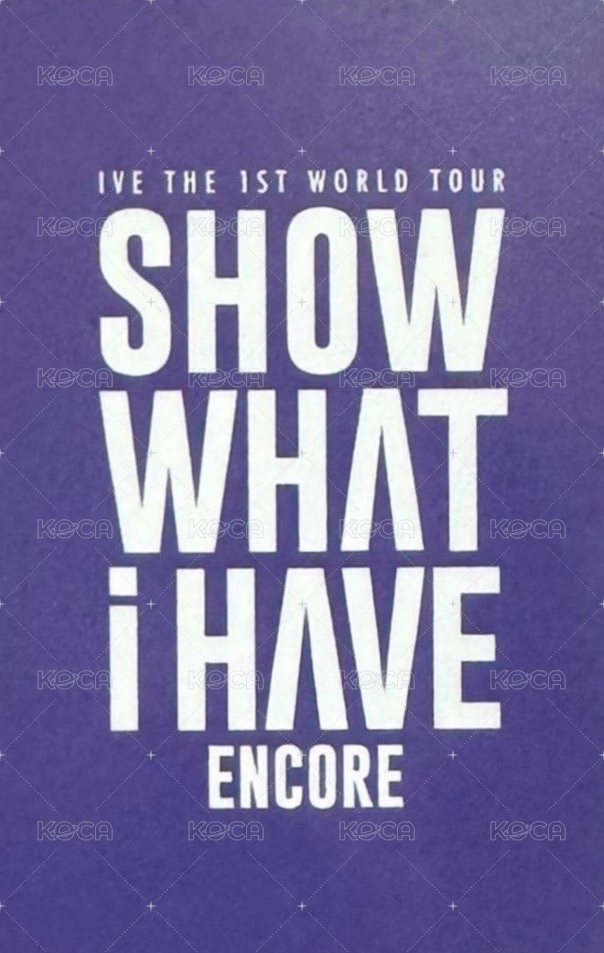 SHOW WHAT I HAVE 周邊卡 髮夾瑞 背面