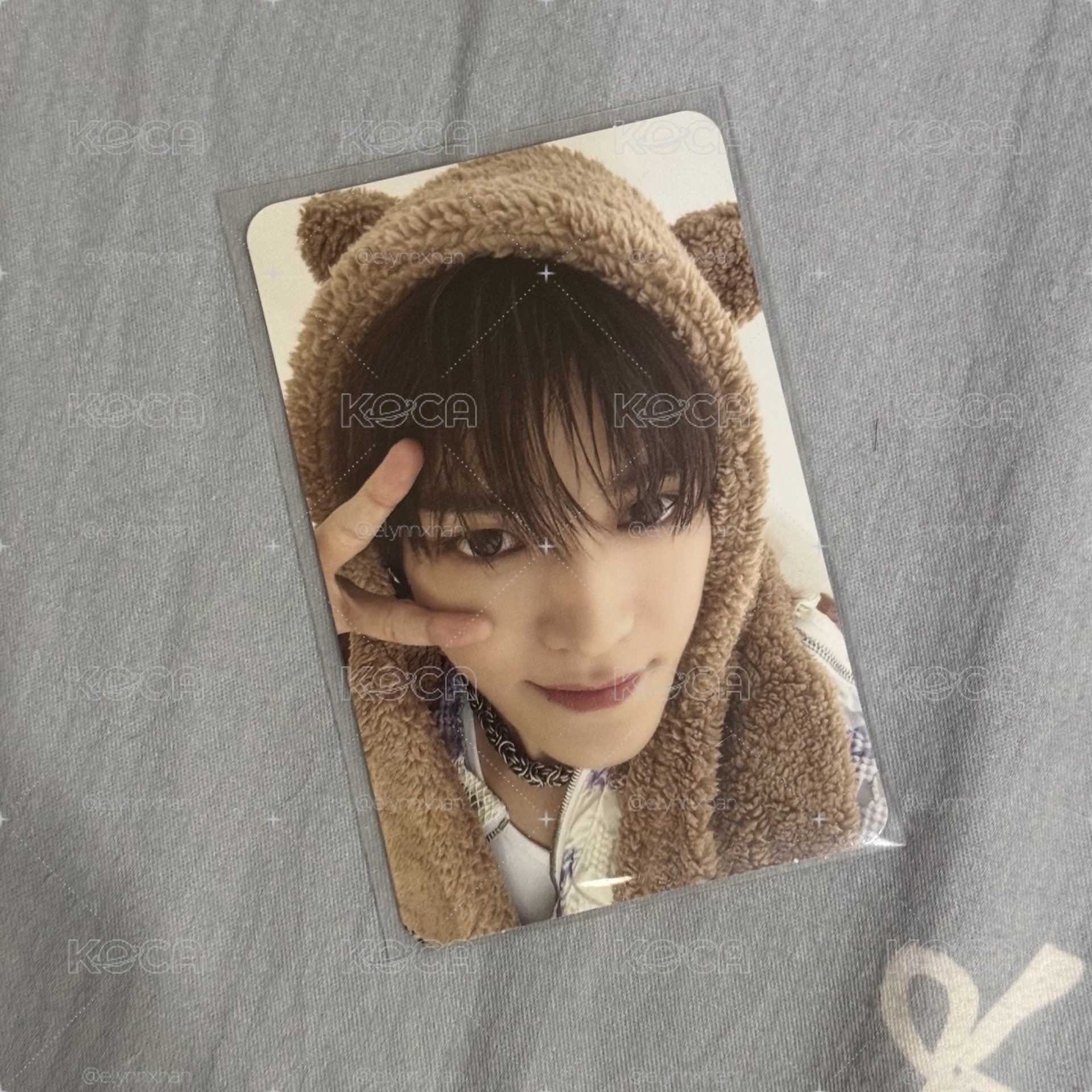 李泰容*小熊🐻