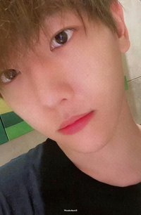 bolo2 專輯卡 mint A ver