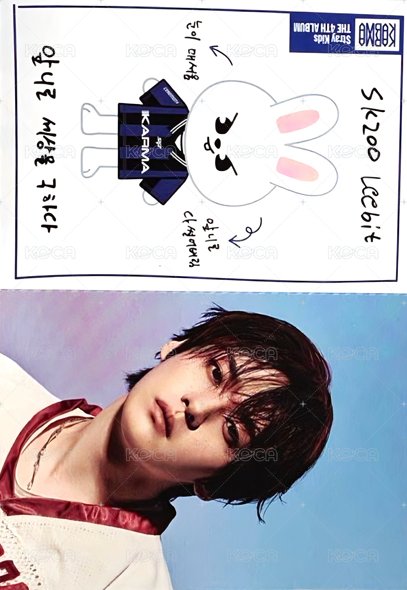 KARMA 專輯卡 電子專娃身分證卡 正面