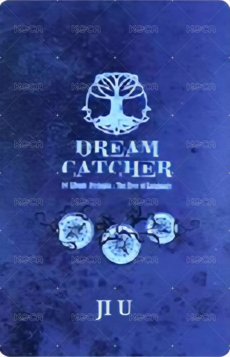 正規一輯 專輯卡  背面