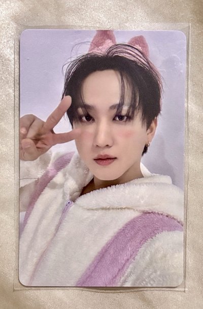 Stray Kids dominATE JAPAN 靜岡紀念限定塔店特典卡 彰彬Changbin