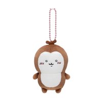 官網 吊娃 小甲蟲