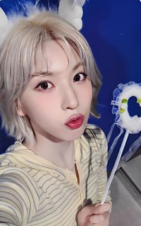 FORWARD sw 2.0 幸運卡 天使