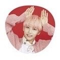 CARAT CAMP 扇子 