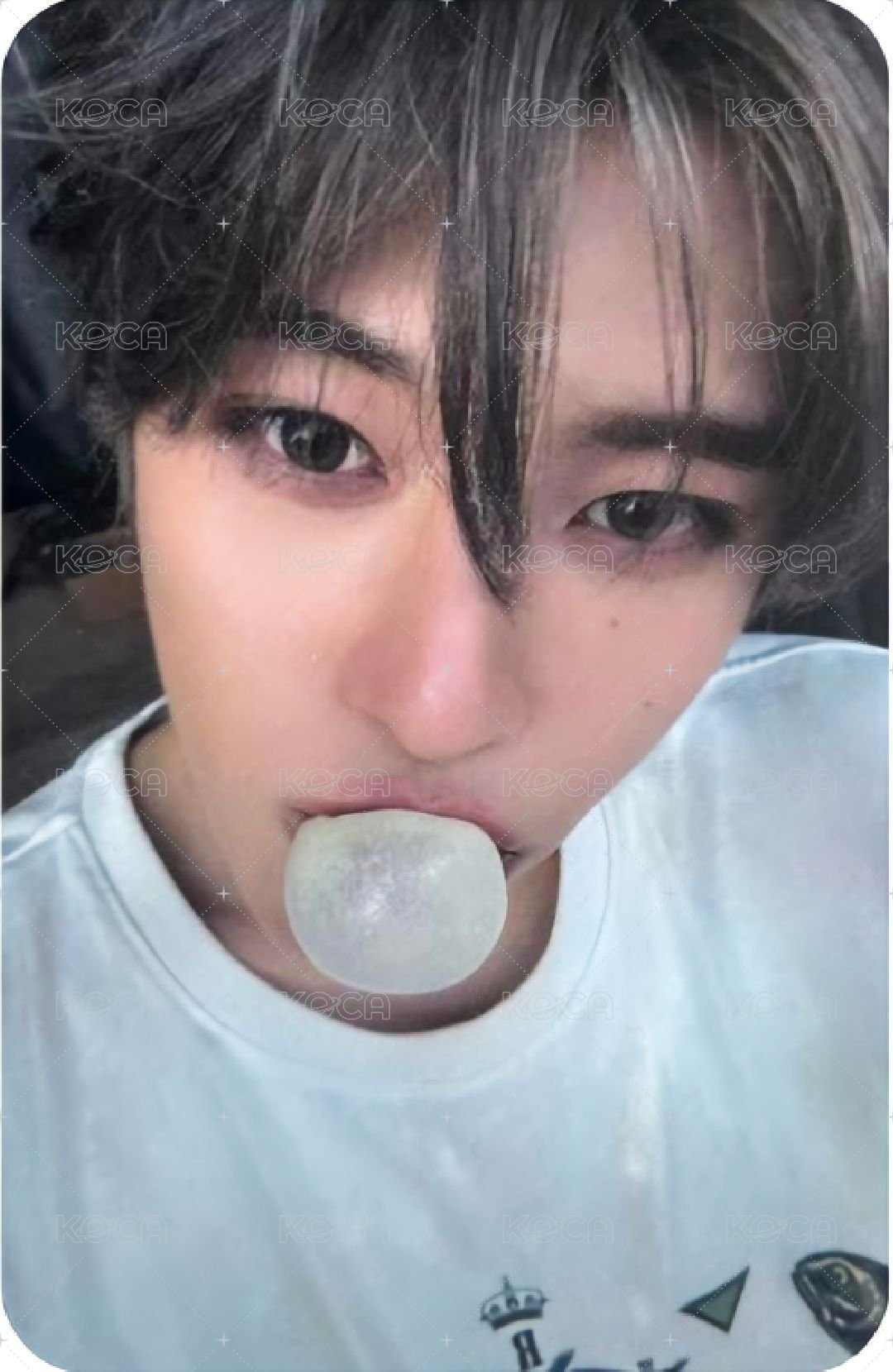 poppop 專輯卡 Nct Wish Sion  popchu 專卡 正面