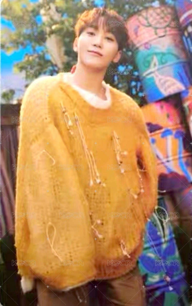 MINI11 專輯卡 ｜WVS電子專ver. 正面