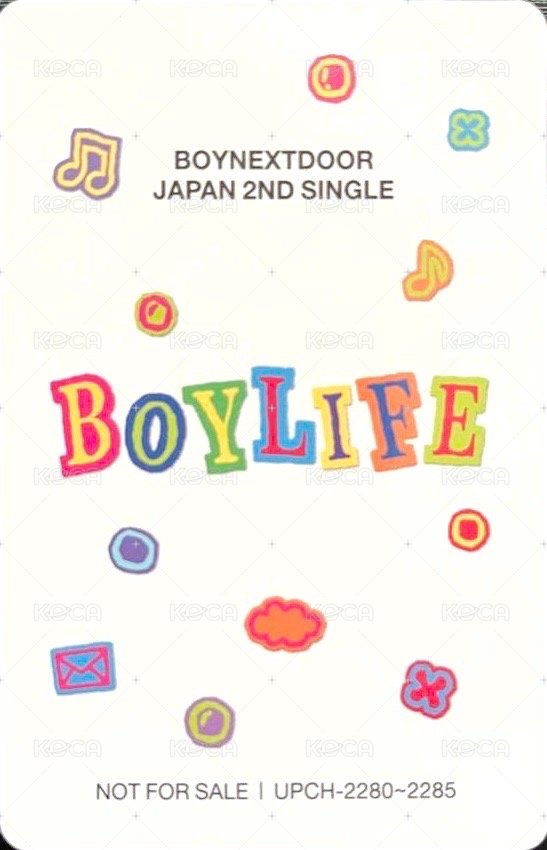 BOYLIFE 專輯卡 雙人卡 36 背面