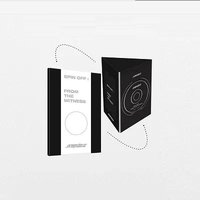 From the Witness 電子專 A ver.