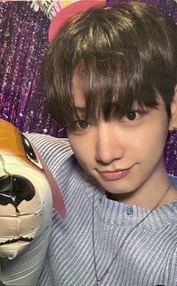 24生日 wvs 周邊卡 3 狗狗