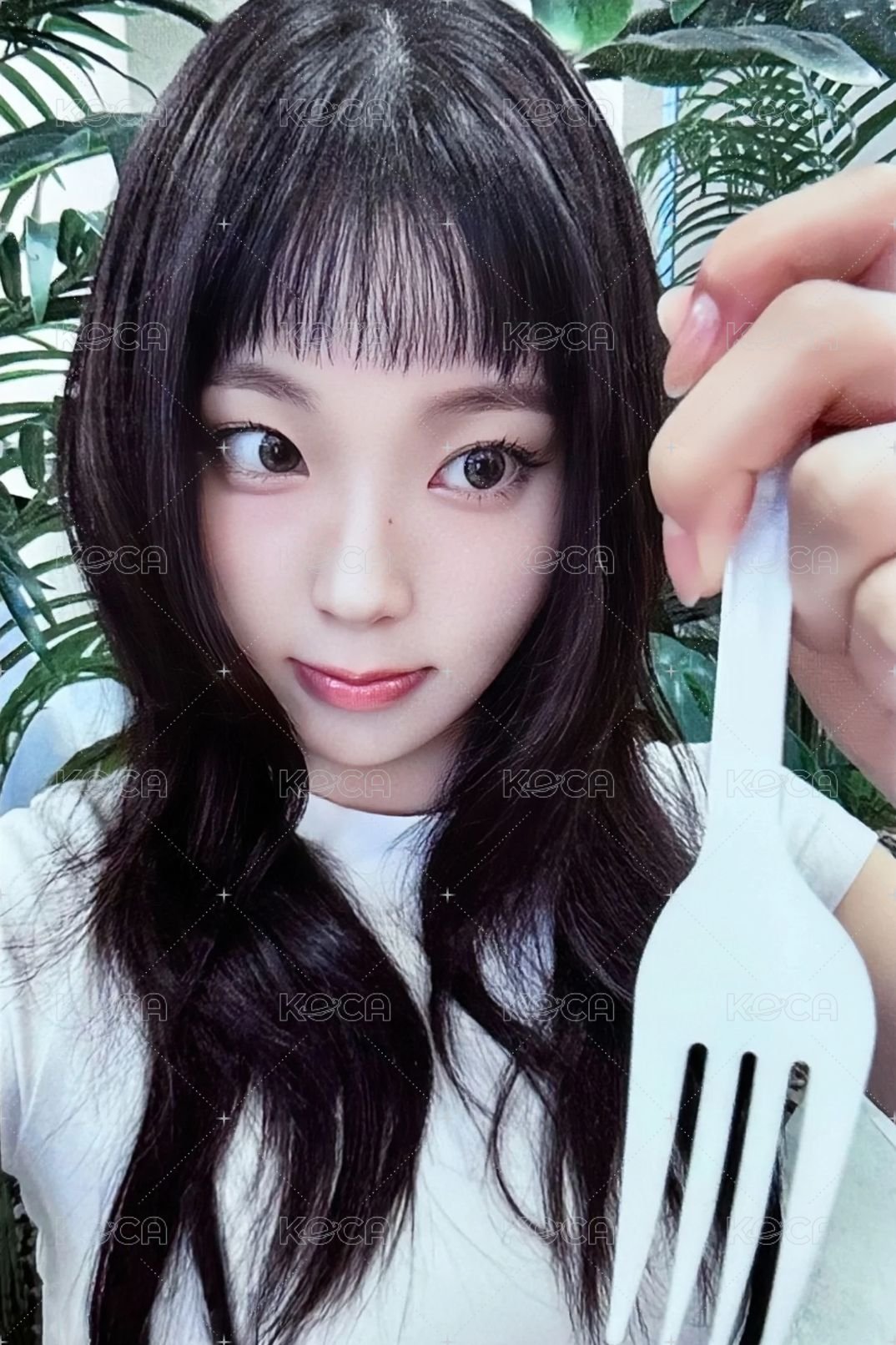 STICK OUT mmt 簽售卡 3.0 禮儀圭 正面