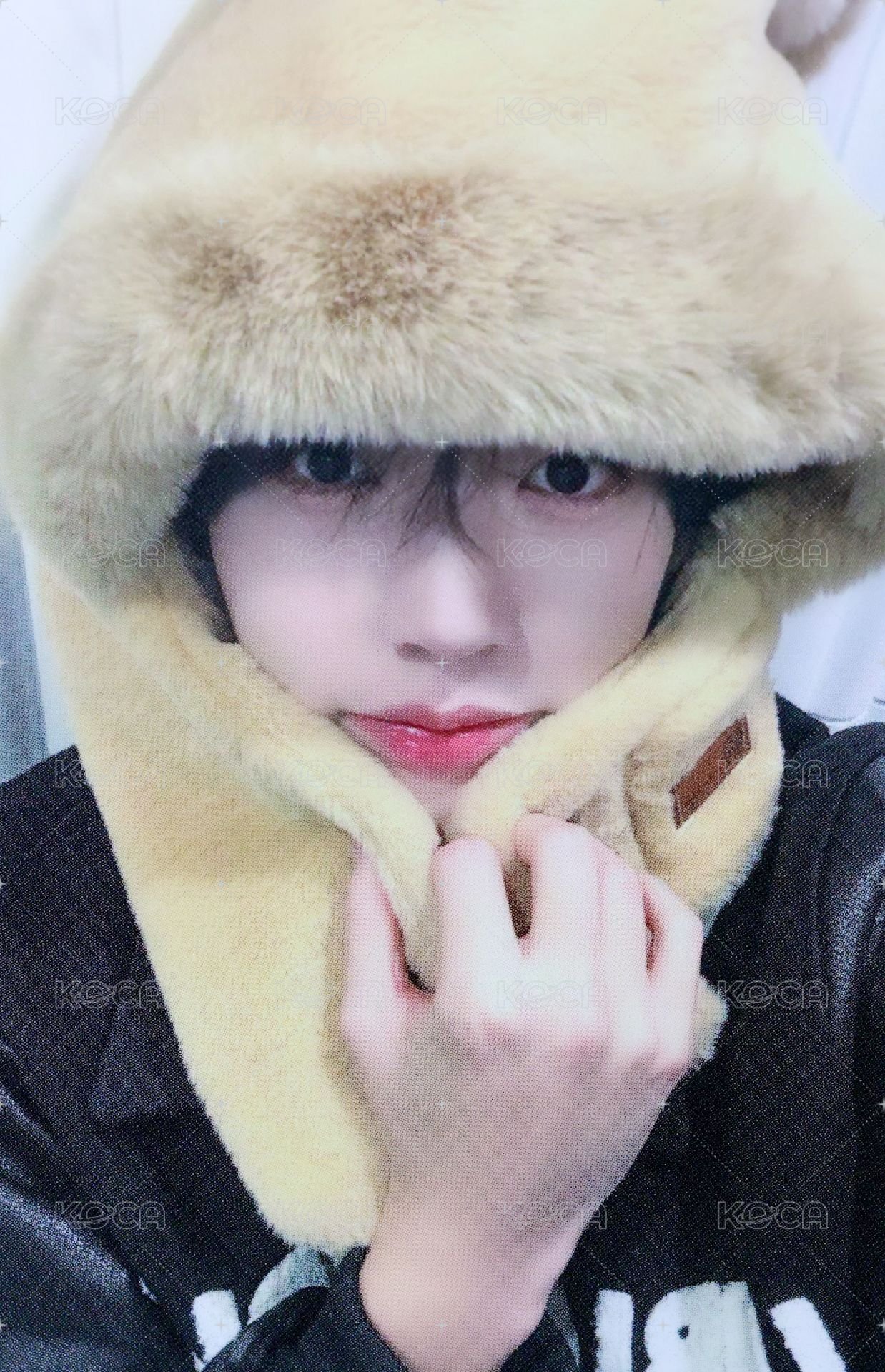 迷五 am 6.0 簽售卡 小熊帽子 ver. 正面