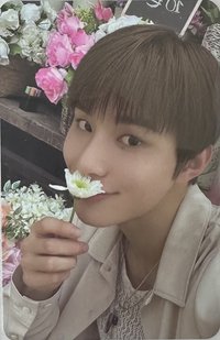 Perfume  SMini 專輯卡 