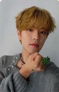 Social Path 專輯卡 通常盤