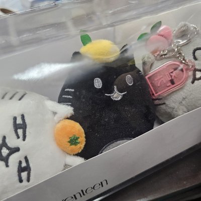 成員自製 娃娃玩偶 O.C.L