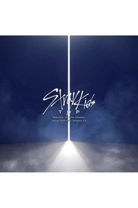 TOP 專輯 通常盤