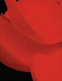 I BURN 專輯 flower