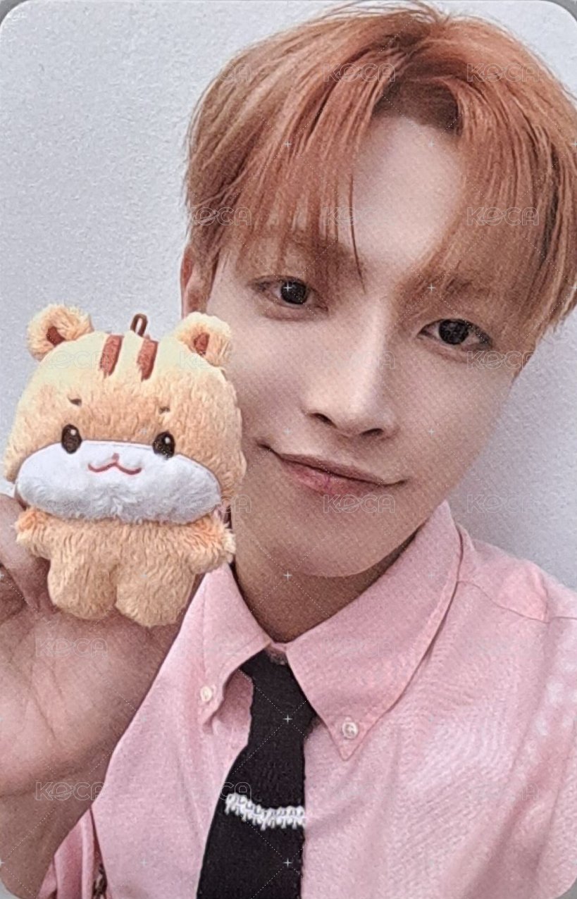 ANITEEZ IN THE CALLING 周邊卡 TINY ANITEEZ PLUSH DOLL 正面