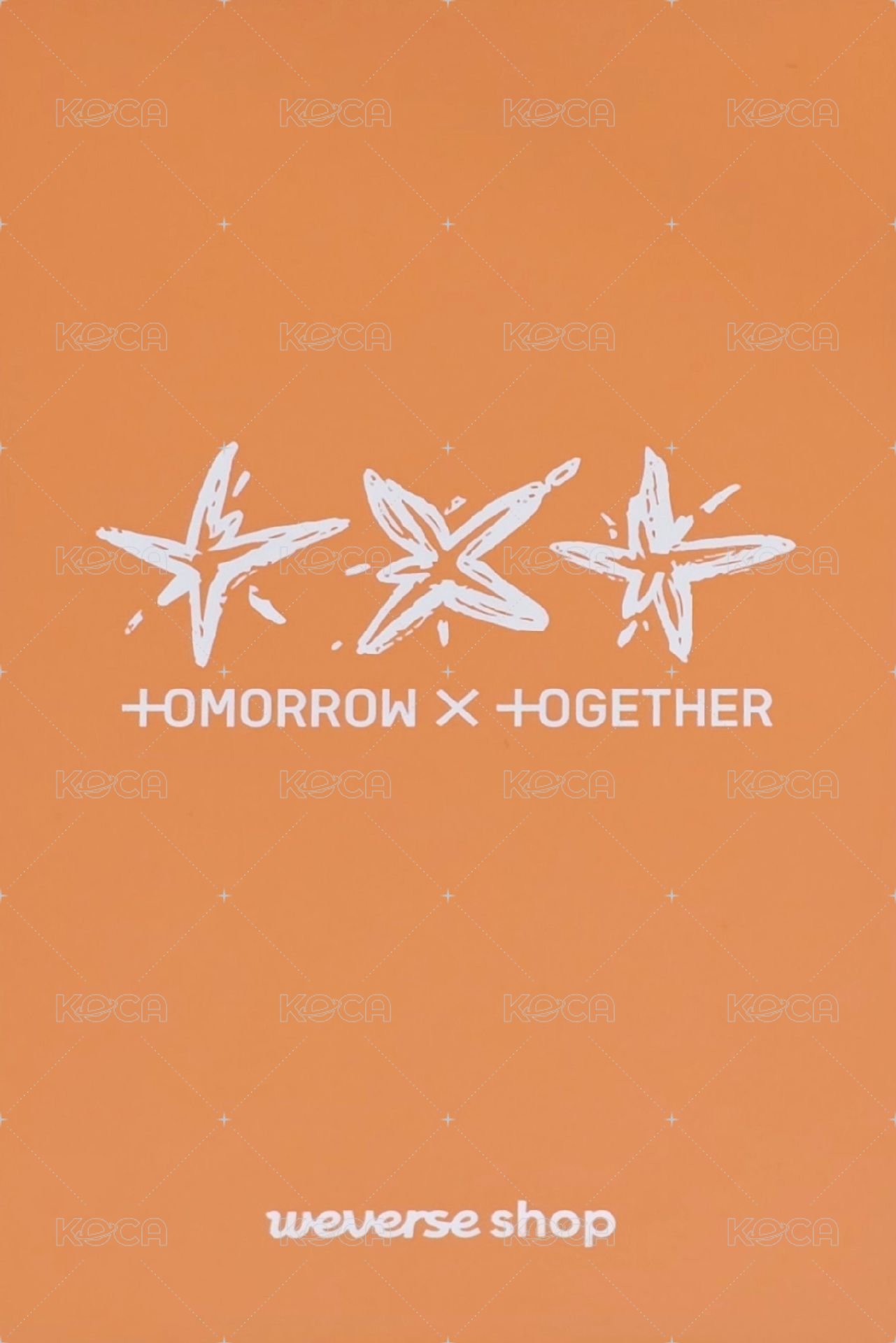 迷六 wvs 特典卡 貓耳圭 背面