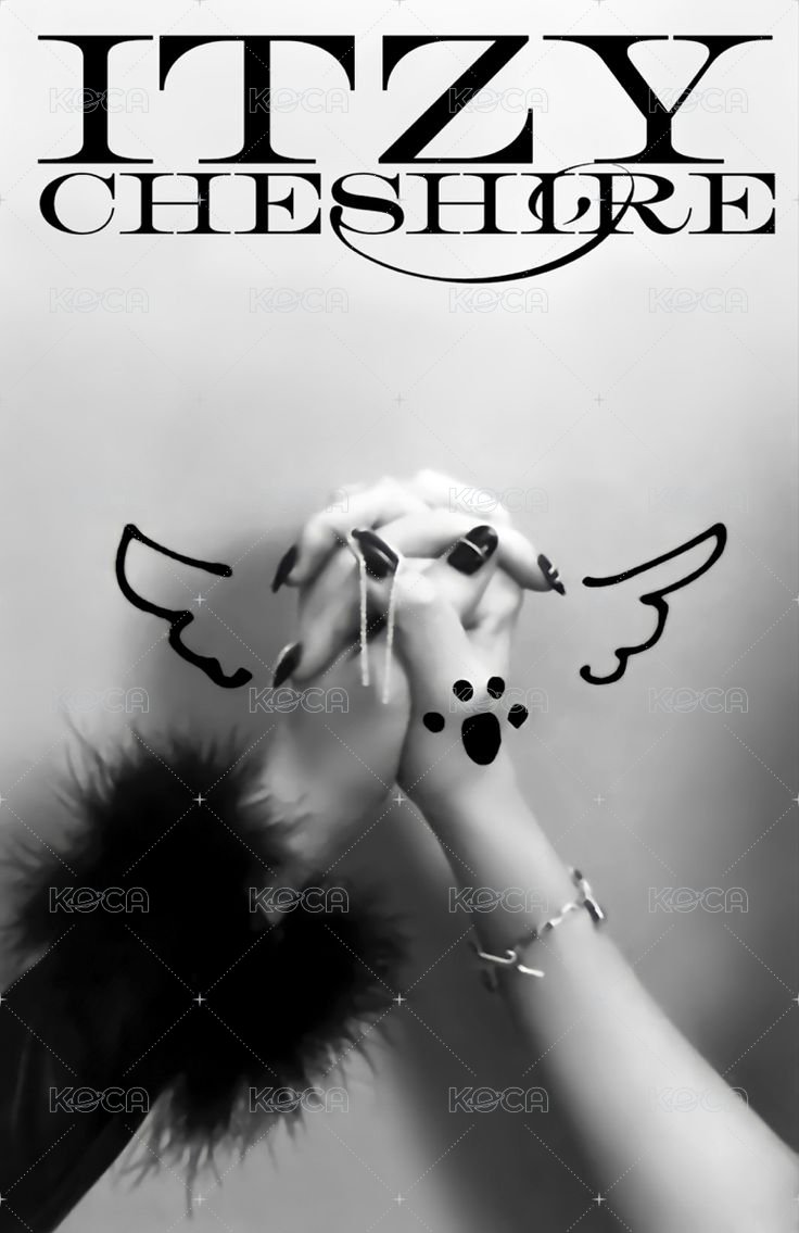 CHESHIRE 專輯卡 雙人卡 背面