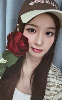 expérgo ms 6.0 簽售卡 玫瑰