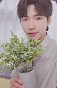 植木日5 fromm 隨機卡 未拆卡包