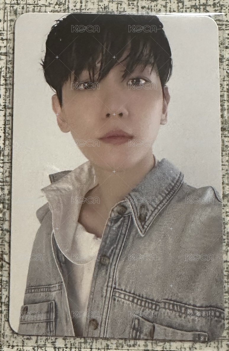 Bambi 專輯卡  正面