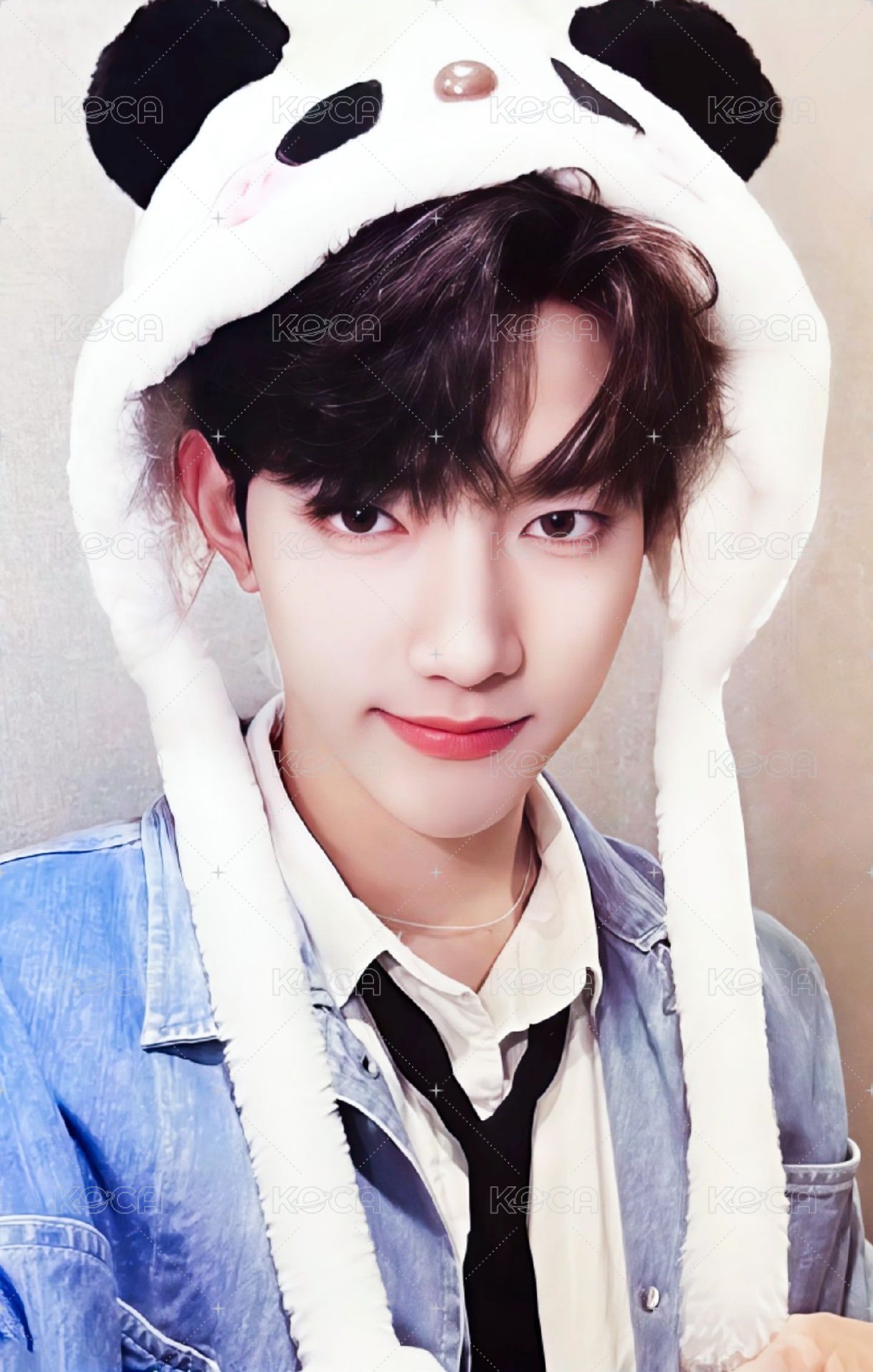 迷一 ms 2.0 特典卡 熊貓 ver. 正面