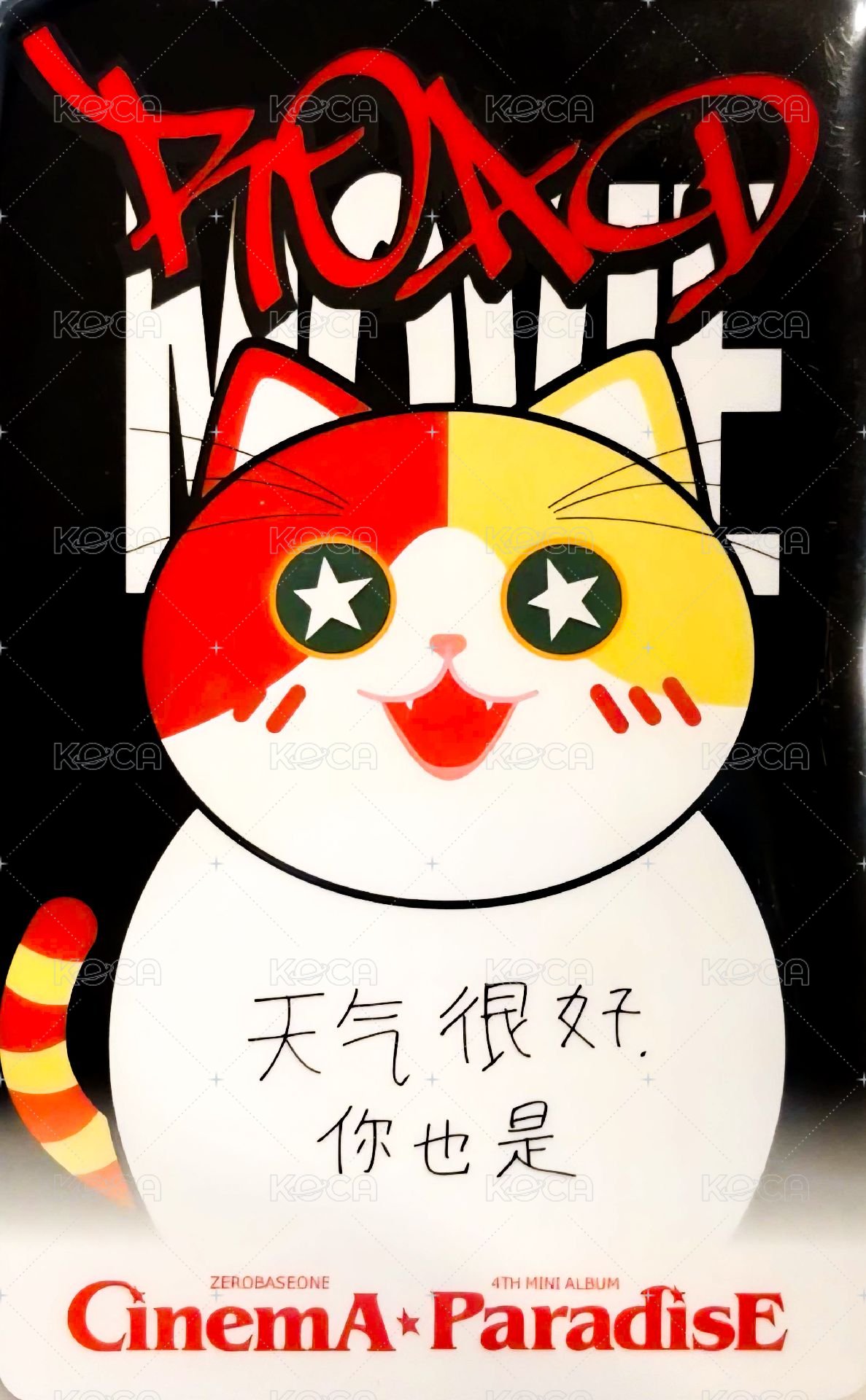 迷四 yzy 簽售卡 胖貓 ver. 背面