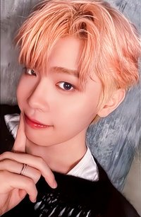 24'JP FC 演唱會 DVD / CD 卡 通常盤 自拍