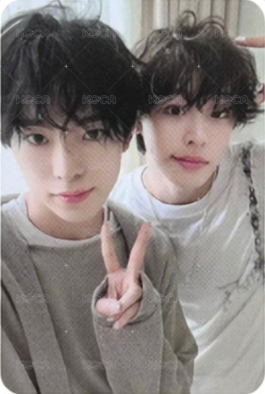 Steady 隨機卡 B版 雙人卡 正面