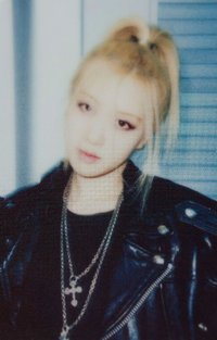 BORN PINK 周邊卡 BORN PINK 照片套裝卡