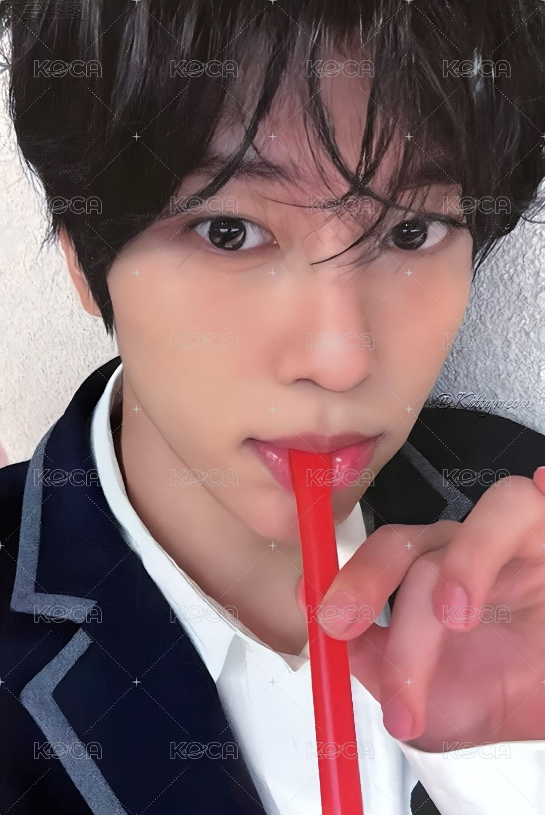 Steady wm 特典卡  正面