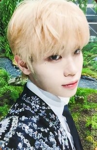 一巡TW 入場卡 / 場限卡 首爾D1