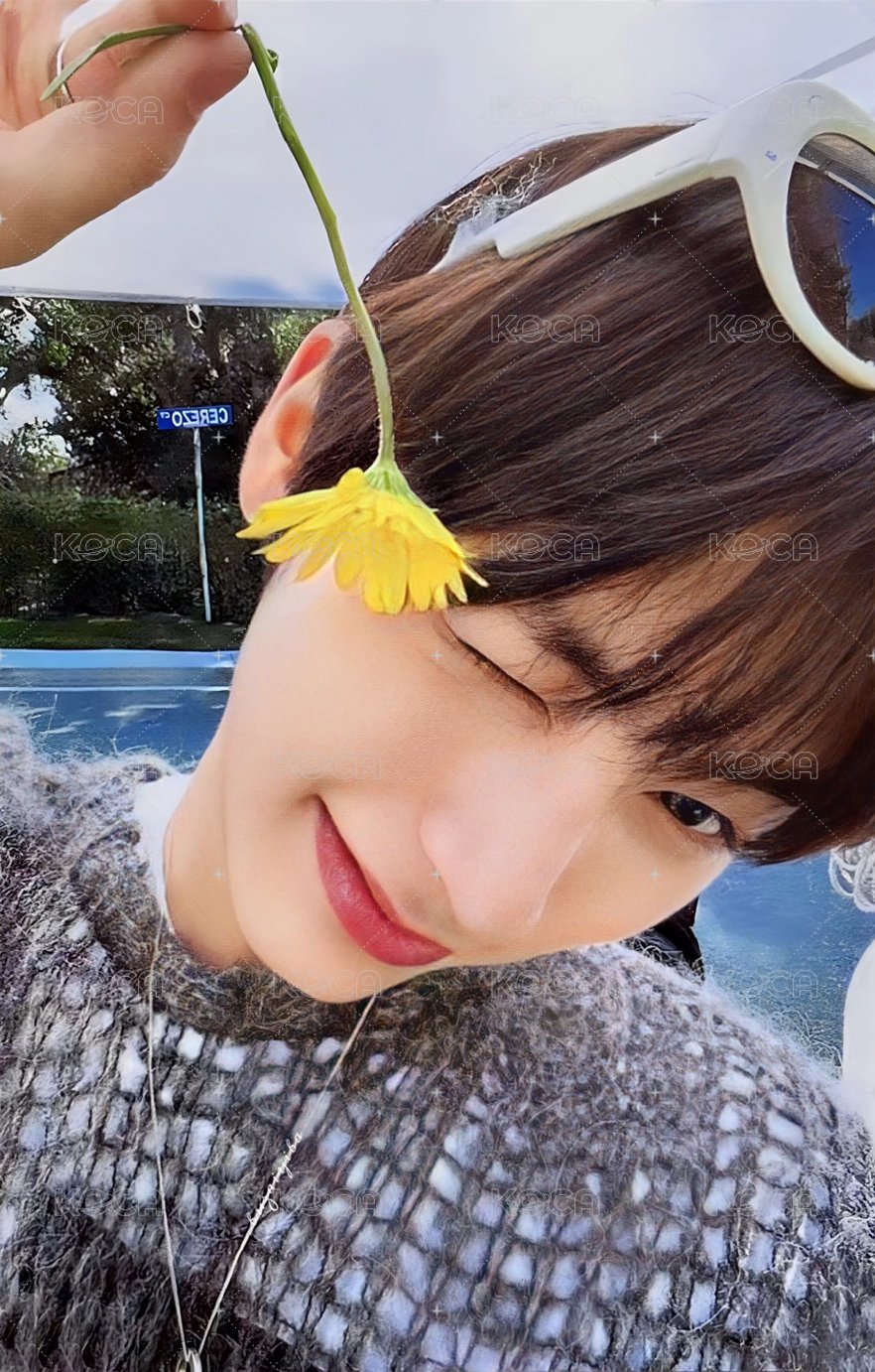 WHO! wvs 抽選卡 活動卡 正面