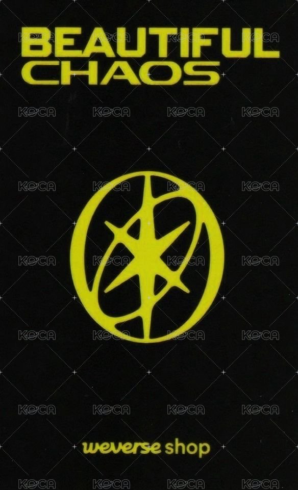 迷二 wvs 簽售卡  背面