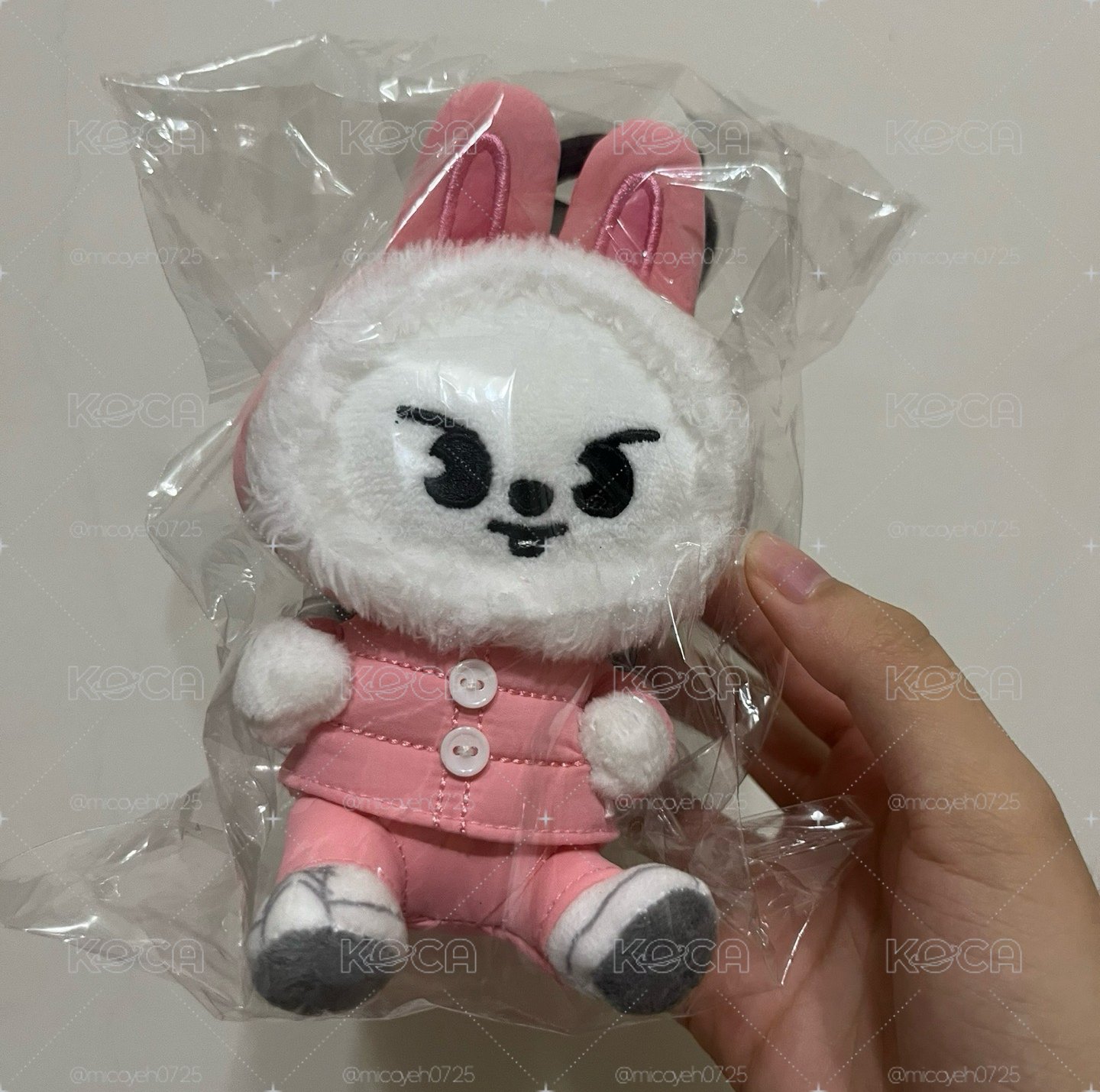 ATE日周 手機掛繩 旻🐰
