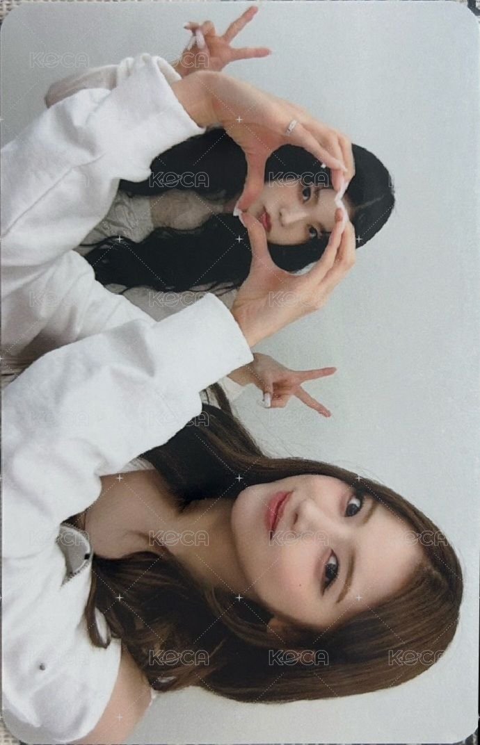 FORWARD ms 2.0 簽售卡 探頭愛心友圭 正面