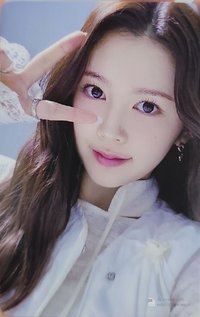 單一 YT 特典卡 SC舞蹈卡
