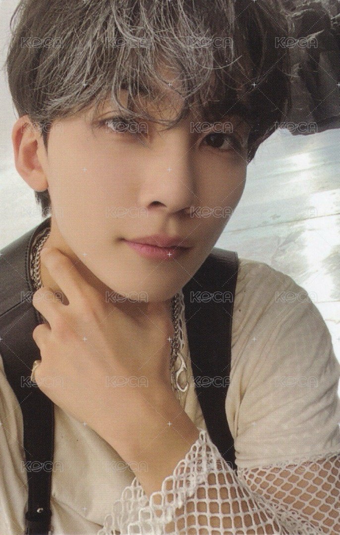 正四 專輯卡 正規四｜Ep5 ver. 正面