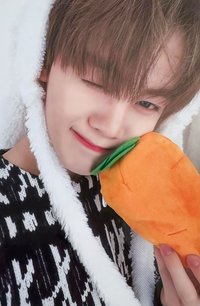 迷五 ms 特典卡 兔毯ver.