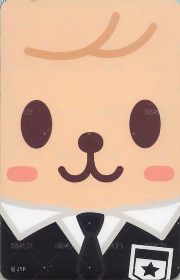 1st 日本巨蛋巡迴 周邊卡 卡套 背面