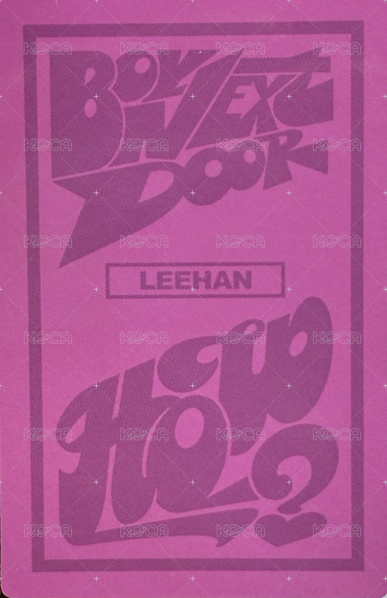 HOW? 專輯卡 wvs ver. 專卡 背面